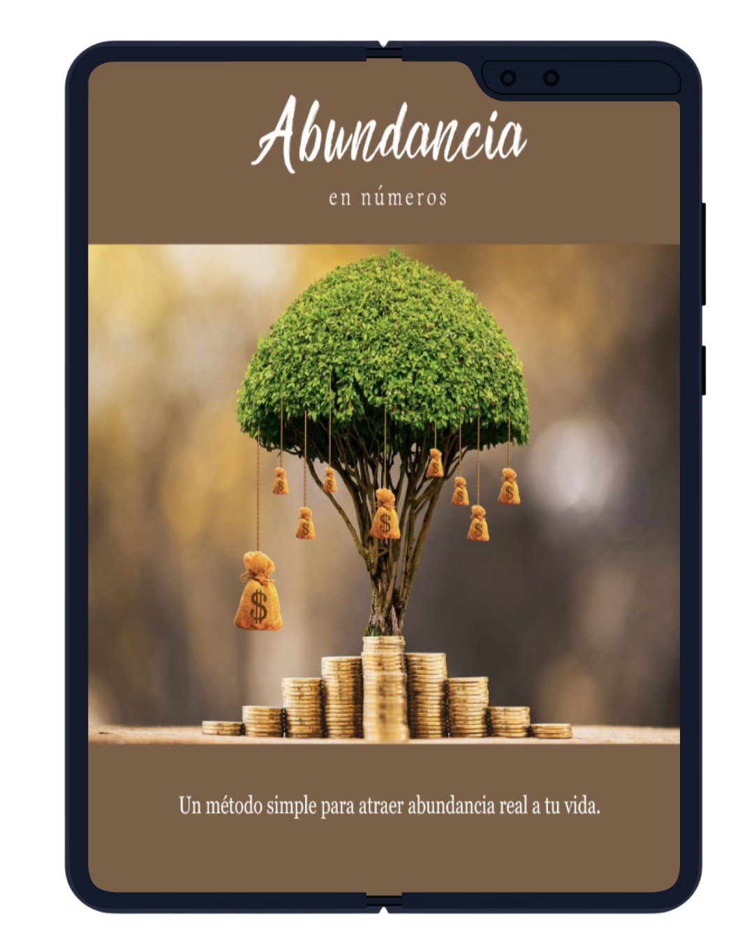 Abundancia en Números